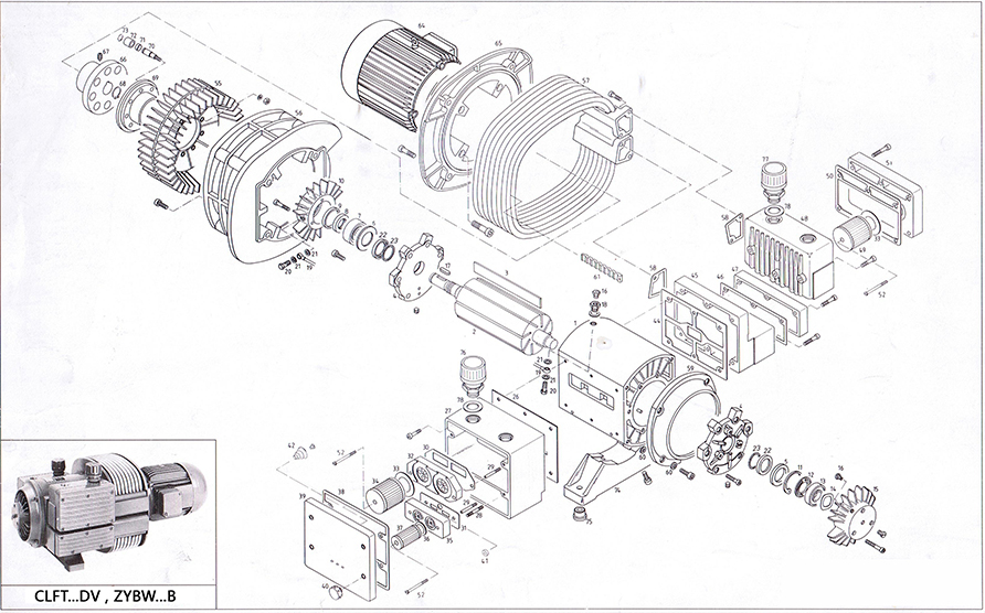 ZYBW...B combined pumps