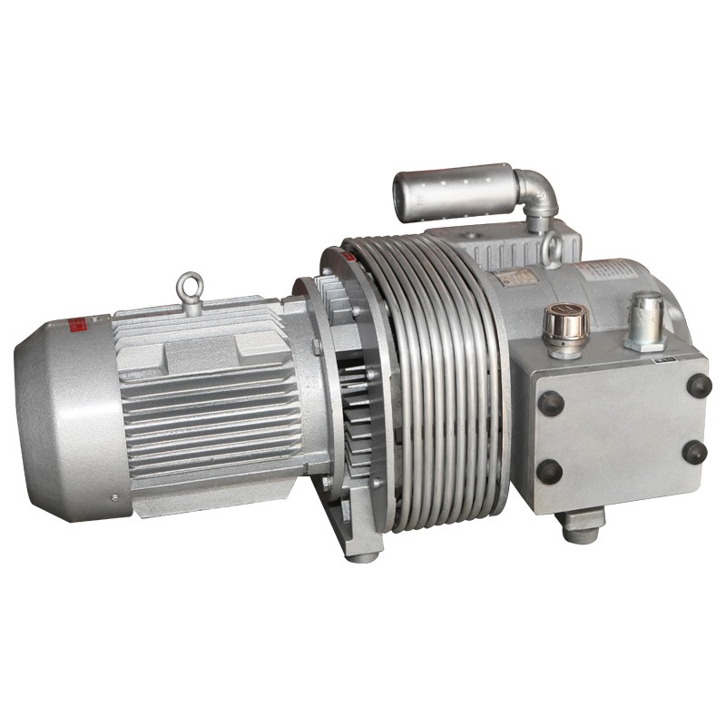 ZBW...B vacuum pumps